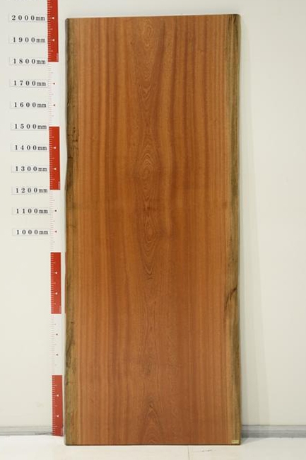 一枚板　サペリ　491-2-25　(W2000)
