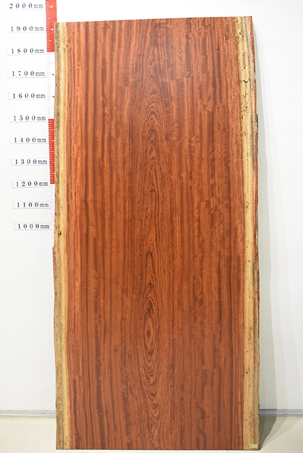 一枚板　ブビンガ　XW-258-3　(W1920)