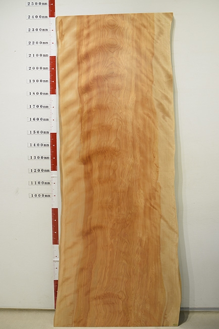 一枚板　マカバ　RP-1392-L-5-1　(W240cm)