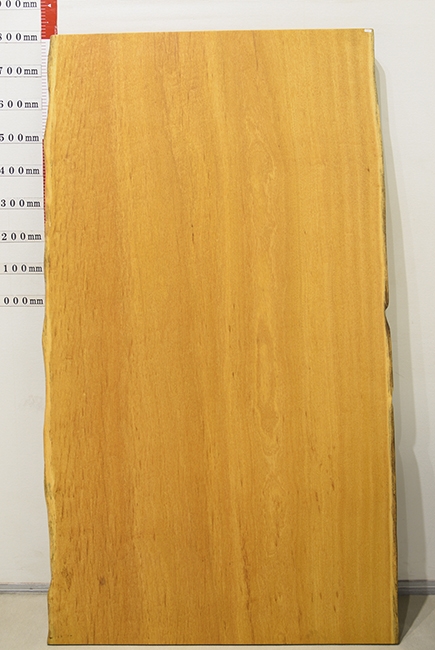 一枚板　モビンギ　131029-3712-2　(W1800)