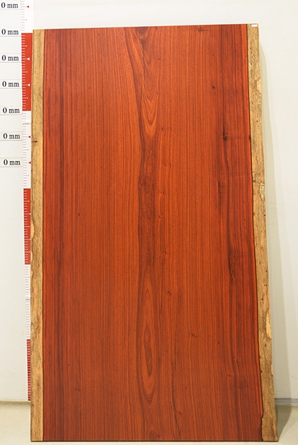 一枚板　パドック　1006-2/2-8-1　(W1500)