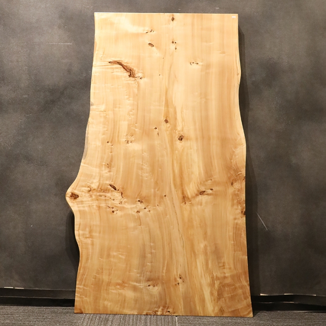 一枚板　ポプラ(杢)　201-8-1　(W165cm)