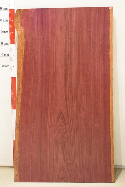一枚板　パープルハート　604-3/3-5-2　(W1500)